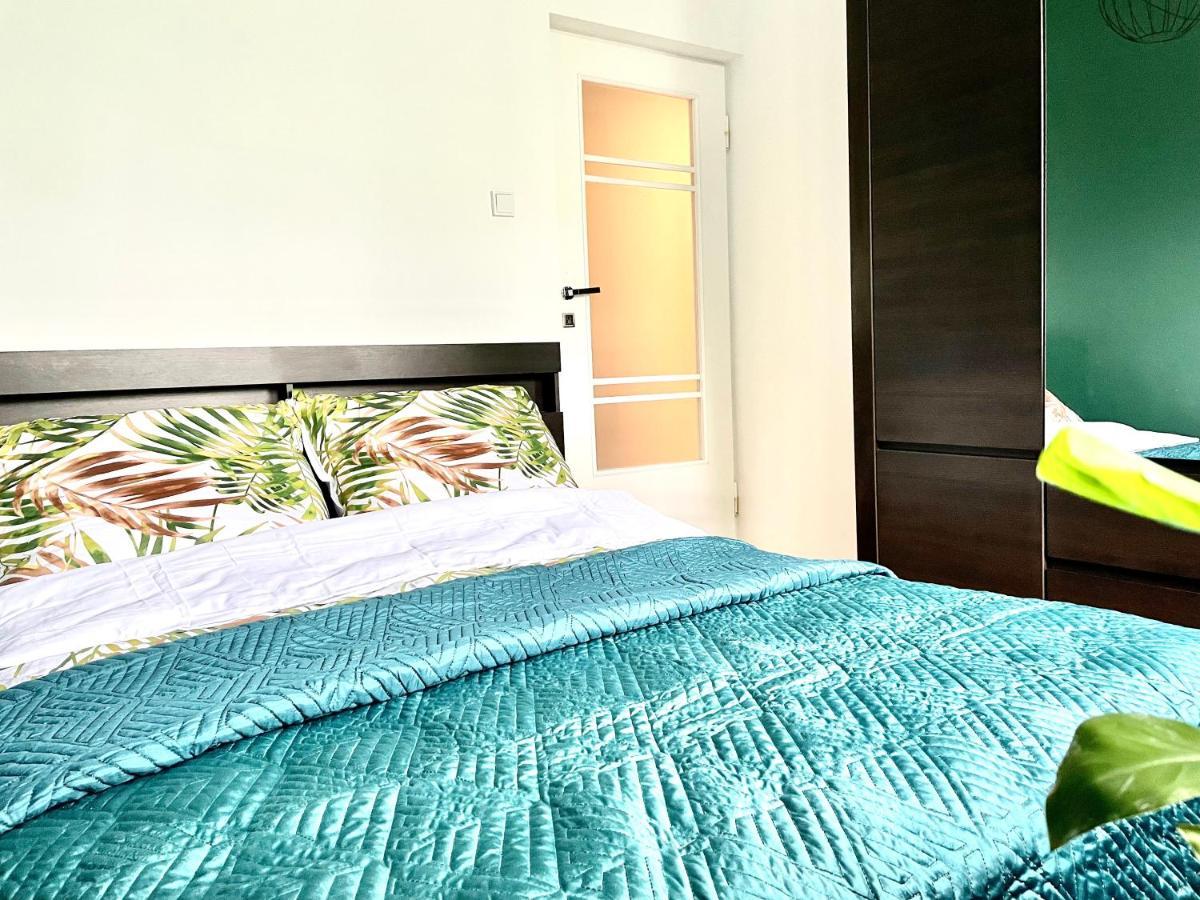 דירות Przestronny Apartament W Centrum Rzeszowa מראה חיצוני תמונה